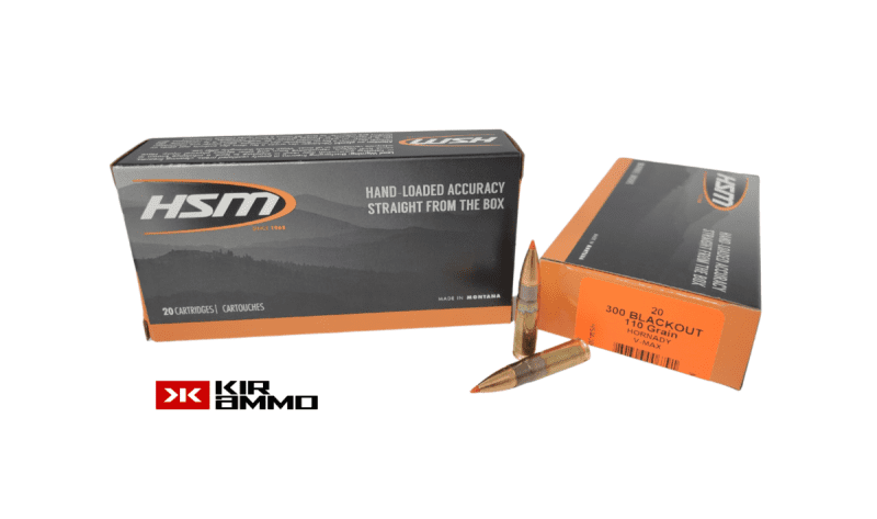 HSM .300 BLK 110 Grain Hornady V Max e1642523511715